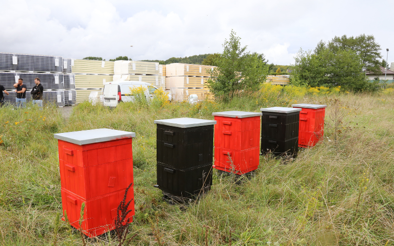 Na terenie zakładu produkcyjnego w Balex Metal zostały zbudowane ule dla 500 tysięcy pszczół
