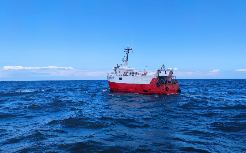 Fundacja Mare działa na rzecz Morza Bałtyckiego rozwijając wiele wartościowych projektów takich jak instalacja koszy do odławiania odpadów z morza czy oczyszczania dna z sieci widmo