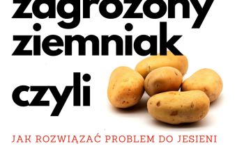 Zagrożony ziemniak, czyli jak rozwiązać problem do jesieni