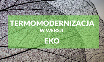 Termomodernizacja w wersji eko