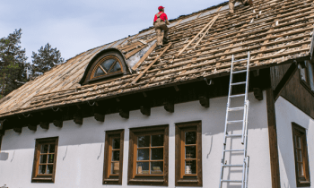 Jak wymienić docieplenie dachu uszkodzonego przez kunę?